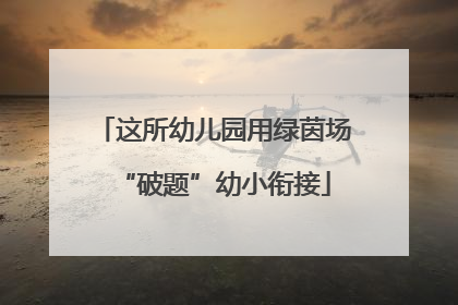 这所幼儿园用绿茵场“破题”幼小衔接