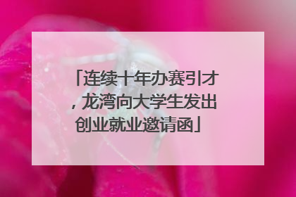 连续十年办赛引才，龙湾向大学生发出创业就业邀请函