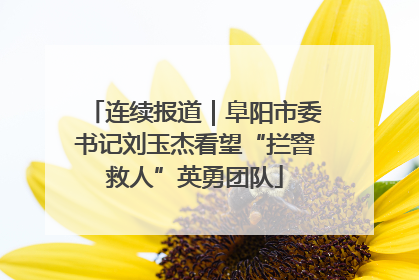连续报道｜阜阳市委书记刘玉杰看望“拦窨救人”英勇团队