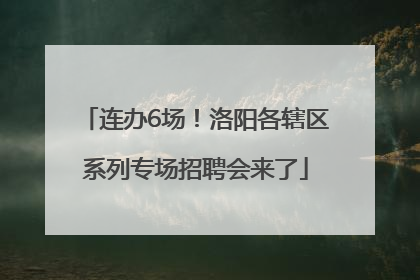 连办6场！洛阳各辖区系列专场招聘会来了