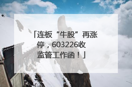 连板“牛股”再涨停，603226收监管工作函！