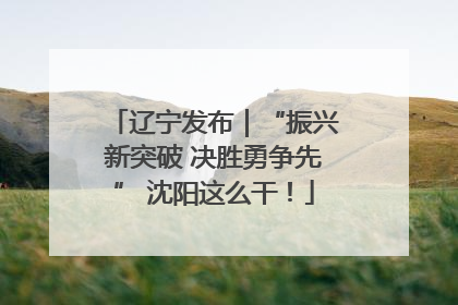 辽宁发布｜“振兴新突破 决胜勇争先” 沈阳这么干！