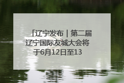 辽宁发布｜第二届辽宁国际友城大会将于6月12日至13日在沈阳举办
