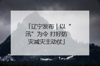 辽宁发布｜以“汛”为令 打好防灾减灾主动仗