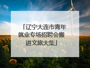 辽宁大连市青年就业专场招聘会搬进文旅大集