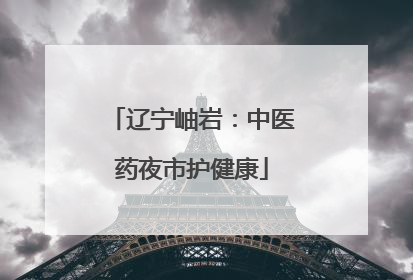 辽宁岫岩：中医药夜市护健康