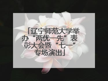 辽宁师范大学举办“两优一先”表彰大会暨“七一”专场演出