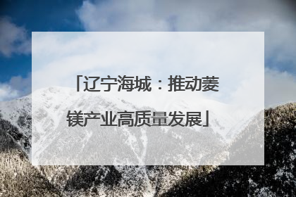辽宁海城：推动菱镁产业高质量发展