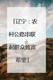 辽宁：农村公路串联起群众致富希望