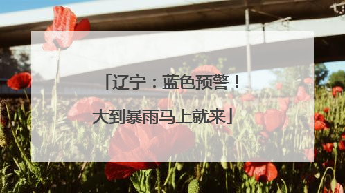 辽宁：蓝色预警！大到暴雨马上就来