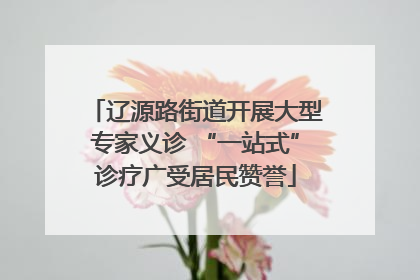 辽源路街道开展大型专家义诊 “一站式”诊疗广受居民赞誉