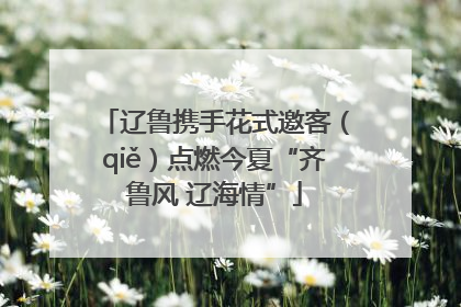 辽鲁携手花式邀客（qiě）点燃今夏“齐鲁风 辽海情”