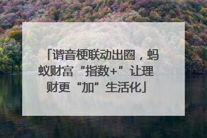 谐音梗联动出圈，蚂蚁财富“指数+”让理财更“加”生活化