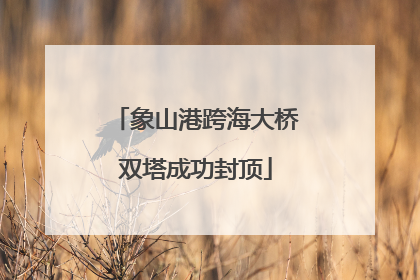 象山港跨海大桥双塔成功封顶