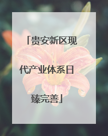 贵安新区现代产业体系日臻完善