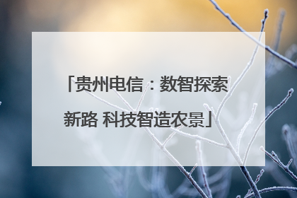 贵州电信：数智探索新路 科技智造农景