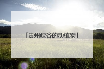 贵州峡谷的动植物
