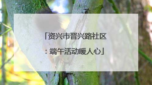 资兴市晋兴路社区：端午活动暖人心
