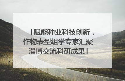 赋能种业科技创新，作物表型组学专家汇聚淄博交流科研成果