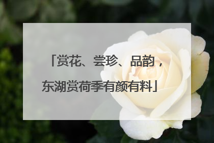 赏花、尝珍、品韵，东湖赏荷季有颜有料
