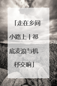 走在乡间小路上丨祁底麦浪与机杼交响