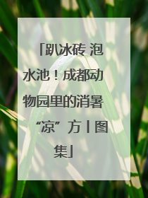 趴冰砖 泡水池！成都动物园里的消暑“凉”方丨图集