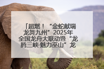 超燃！“金蛇献瑞 龙舞九州”2025年全国龙舟大联动暨“龙腾三峡·魅力巫山”龙舟邀请赛圆满落幕！