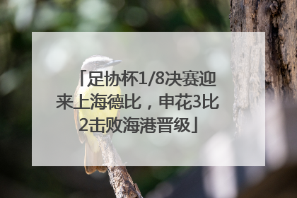 足协杯1/8决赛迎来上海德比，申花3比2击败海港晋级