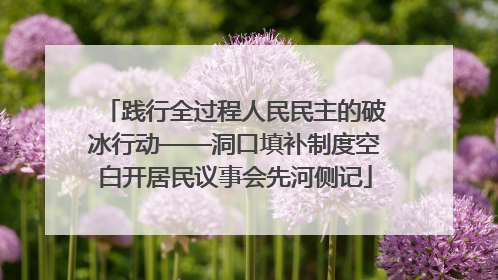 践行全过程人民民主的破冰行动——洞口填补制度空白开居民议事会先河侧记