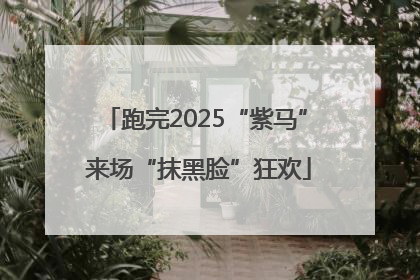 跑完2025“紫马” 来场“抹黑脸”狂欢