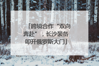 跨境合作“双向奔赴”，长沙装备叩开俄罗斯大门
