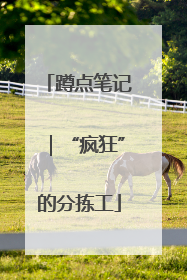蹲点笔记｜“疯狂”的分拣工