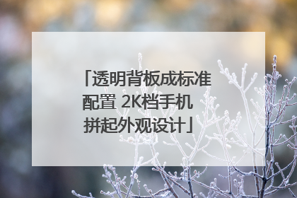 透明背板成标准配置 2K档手机拼起外观设计