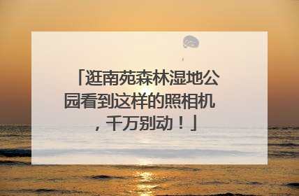 逛南苑森林湿地公园看到这样的照相机，千万别动！