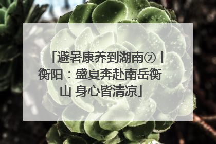 避暑康养到湖南②丨衡阳：盛夏奔赴南岳衡山 身心皆清凉