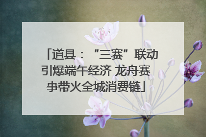 道县：“三赛”联动引爆端午经济 龙舟赛事带火全城消费链