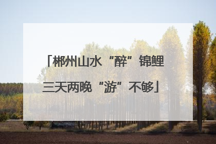 郴州山水“醉”锦鲤 三天两晚“游”不够