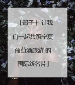 郑子丰 让我们一起共筑宁夏葡萄酒旅游 的国际新名片