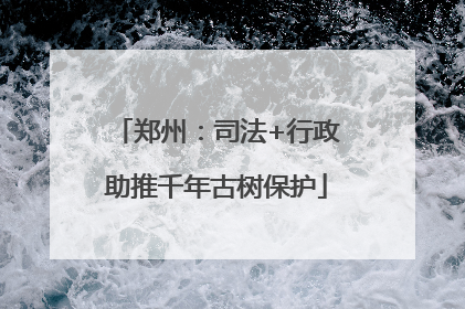 郑州：司法+行政助推千年古树保护