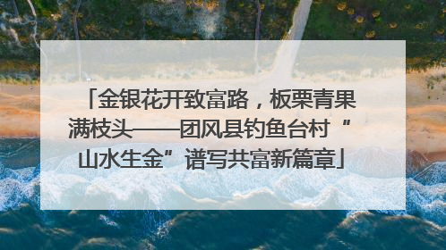 金银花开致富路，板栗青果满枝头——团风县钓鱼台村“山水生金”谱写共富新篇章