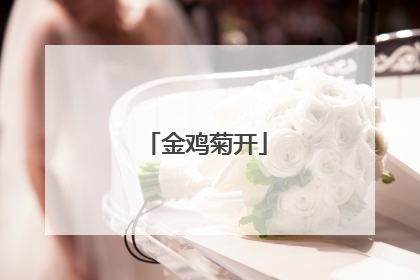 金鸡菊开