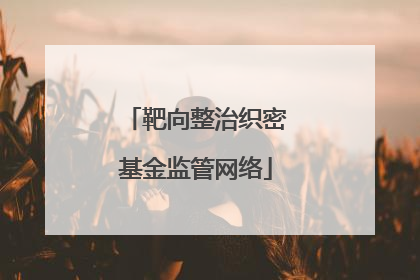 靶向整治织密基金监管网络