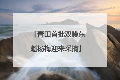 青田首批双膜东魁杨梅迎来采摘