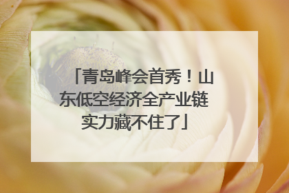 青岛峰会首秀！山东低空经济全产业链实力藏不住了