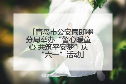 青岛市公安局即墨分局举办“警心暖童心 共筑平安梦”庆“六一”活动