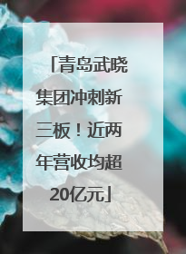 青岛武晓集团冲刺新三板！近两年营收均超20亿元