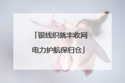 银线织就丰收网 电力护航保归仓
