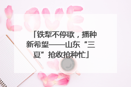 铁犁不停歇，播种新希望——山东“三夏”抢收抢种忙