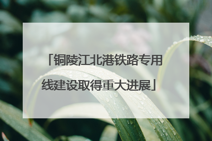 铜陵江北港铁路专用线建设取得重大进展