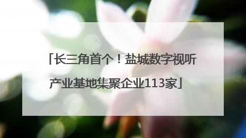 长三角首个！盐城数字视听产业基地集聚企业113家